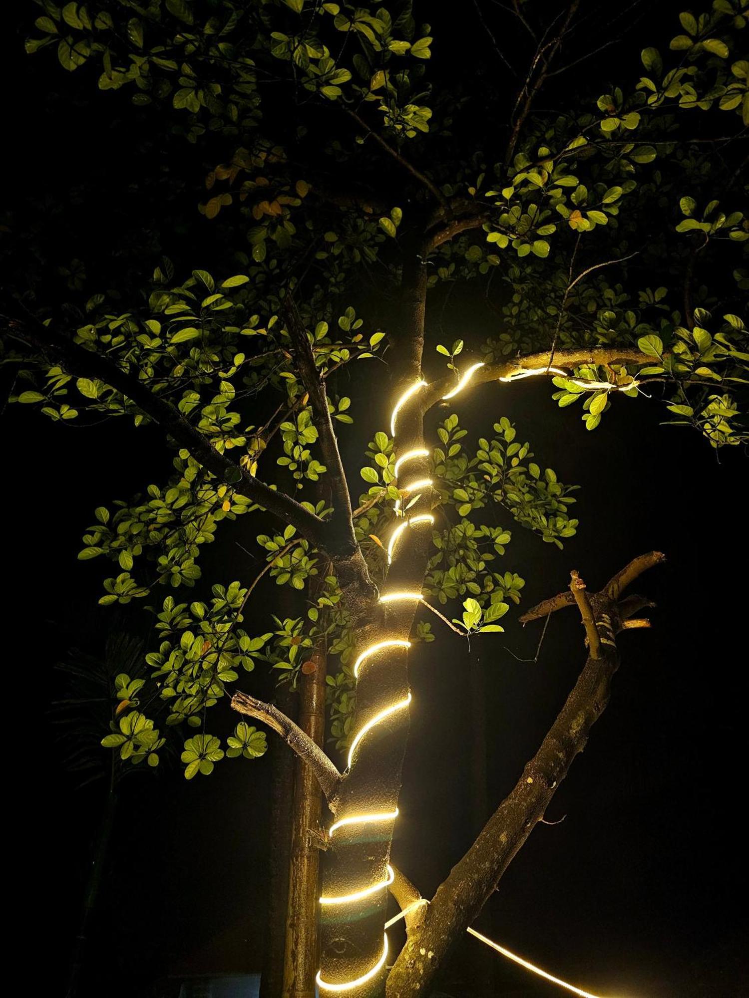 The Beachwalk Stay - Your Pathway To The Beach Gokarna  Εξωτερικό φωτογραφία